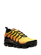 Nike Air Vapormax Plus